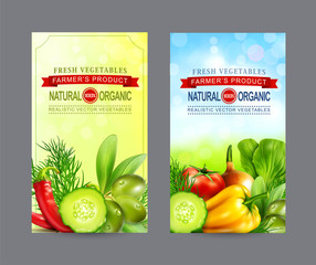 Vector set of two vertical banners with realistic vegetables for the farm market (cucumber, green olives, chili, pepper, onion, dill). Illustration, template for advertising card, flyer