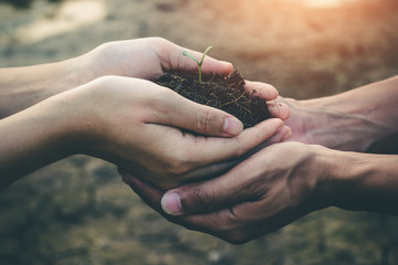 Hand for planting trees back to the forest, Creating awareness for love wild, Wild plant concept.