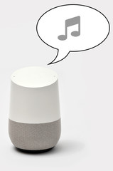 Smart Speaker that is playing music