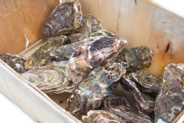 Huîtres