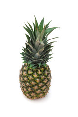 Fototapeta premium Ananas