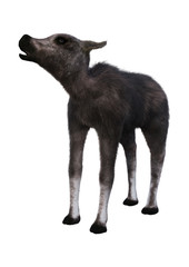 3D Rendering Caribou Calf on White