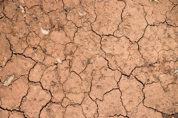 Cracked dry brown soil textured background