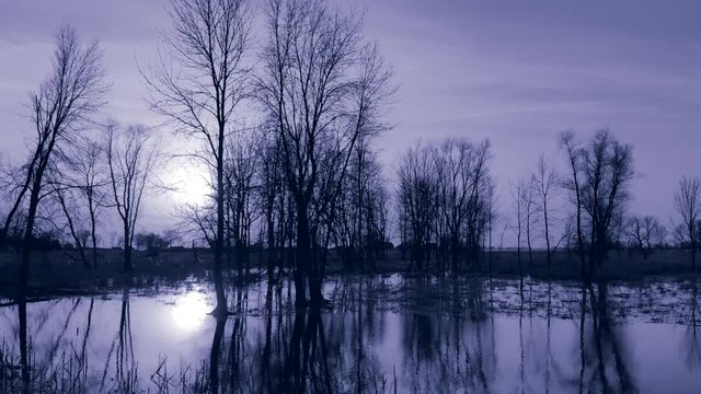 Moving through swamp wilderness by moonlight with scenic reflections in still waters.
