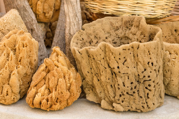 Natural peeling sponges with different shapes. Selective focus