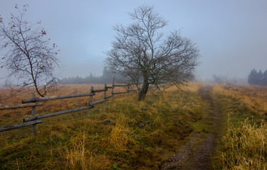 Obraz premium Herbstlandschaft im Schwarzwald