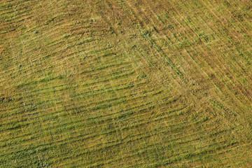 Top view agriculture panoramic view. Harvesting field from above during sunset natural pattern background.
