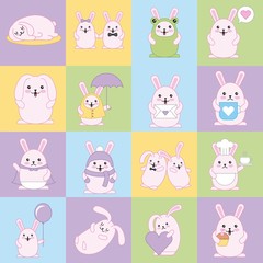 kawaii cats in square background color decoration vector illustration