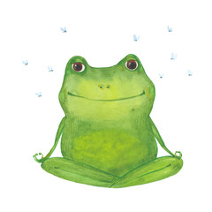Naklejka premium medytując zielona żaba