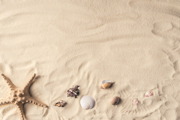 Starfish and sea shells on sandy beach