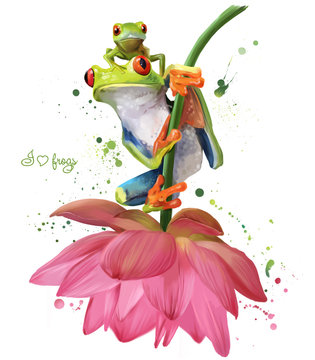 Two green frogs sitting on a flower