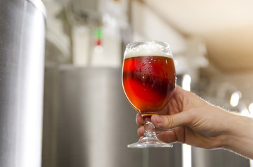 Man hand holding red craft beer , brewery in the background