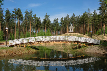 Fototapeta na wymiar beautiful bridge over the lake in a pine forest