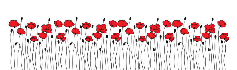 Poppy flowers and buds. Borders ornaments. Floral pattern in black and red. - obrazy, fototapety, plakaty