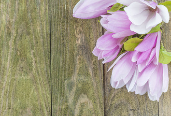Greeting card with pink magnolia flowers on rustic wooden background with copy space and selective focus