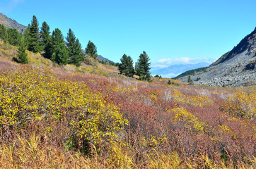 Russia, Altai territory, Ust-Koksinsky district, river valley Acchan (Akchan) in September