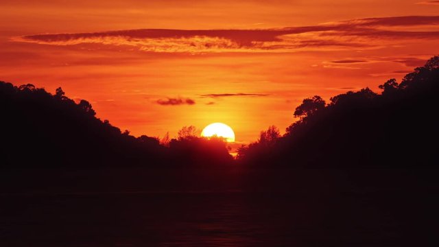 A beautiful sunrise with a golden sun and sky with the silhouettes of tropical trees. Time lapse sequence.