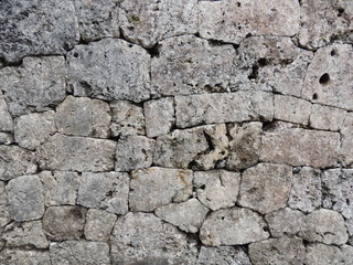 中城城