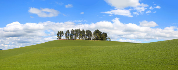 Farm landscape in Palouse, Washington.