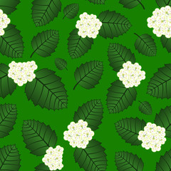 Seamless floral pattern of hawthorn blossom from flowers and leaves against green background