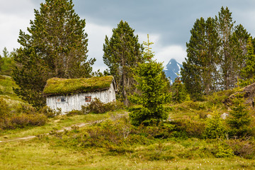 Old wooden cabin in forest Norway