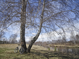 cycling in the spring