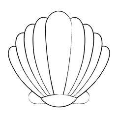 seashell icon over white background, vector illustration