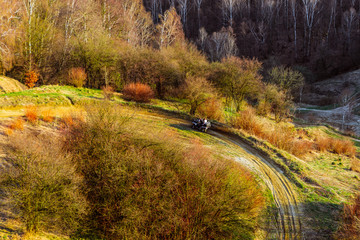 couple enjoys riding an ATV on forest hills