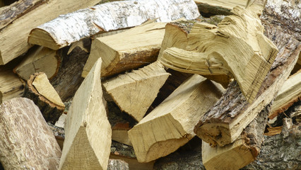 Firewood pine and birch