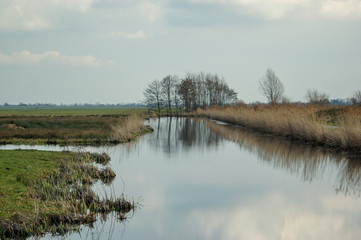 Ditch in polder landscape. Reeuwijk, the Netherlands.
