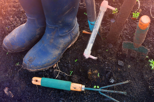 Agriculture rural background. Farmer rubber boots and equipment in a garden.