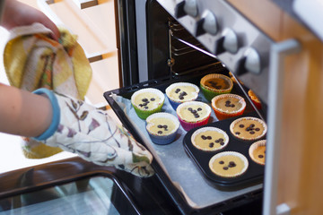 Handmade cupcakes with chocolate chips