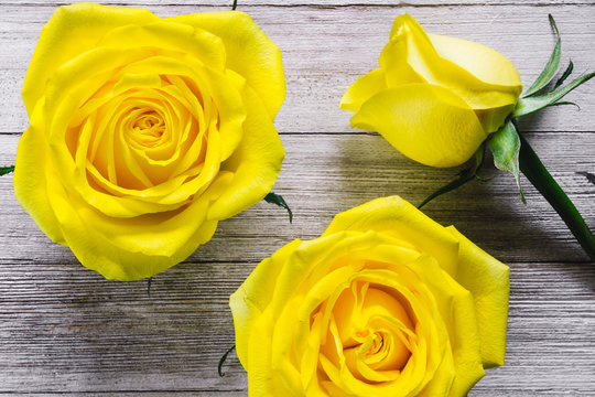 Yellow Roses Arranged on Rustic Table