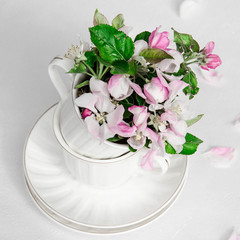 spring blossoming white cups on a table