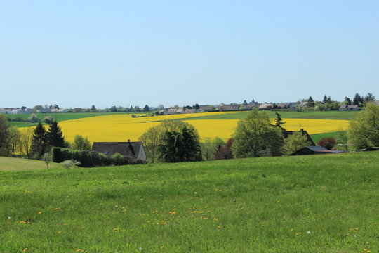 Villerable et les colzas