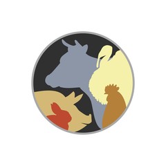 Fototapeta premium Домашние животные