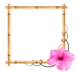 Realistic bamboo frame with hibiscus pink flower.