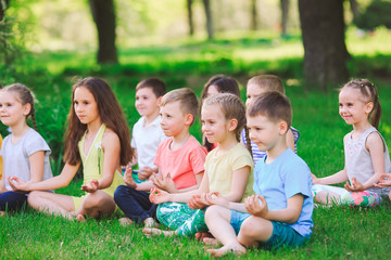 Fototapeta premium A large group of children engaged in yoga in the Park sitting on the grass.