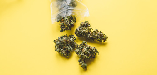 Small business marijuana dispensary in Unated States.Marijuana buds for sale