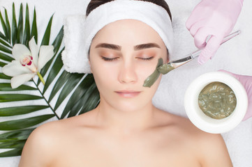 Obraz na płótnie Canvas The procedure for applying a mask from clay to the face of a beautiful woman. Spa treatments and care of the face in the beauty salon.