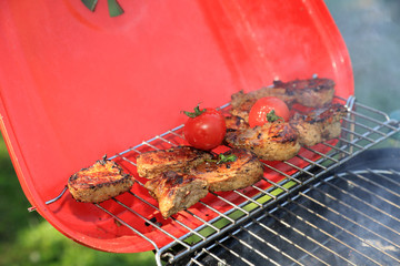 Grilowanie polędwicy, pomidorów i pieczywa w plenerze nad jeziorem na grilu turystycznym. - obrazy, fototapety, plakaty