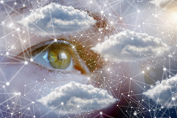 Monitoring and control of data networks.