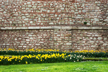 Spring landscape with colorful flowers