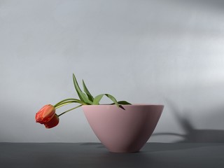 Stilleben Tulpen in einer Vase