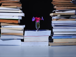 Los libros nunca mueren