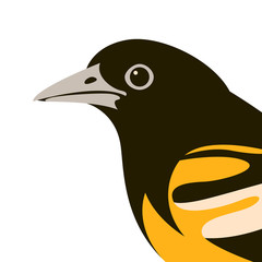 bird oriole vector illustration  flat style  profile