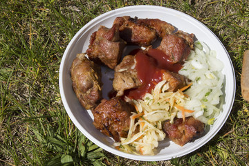 fried meat on a white plate