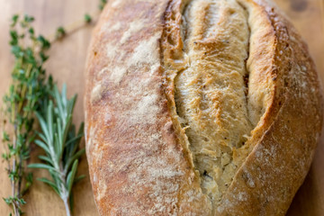 Ligurisches Bauernbrot mit Rosmarin und Thymian