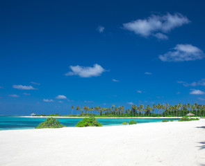 tropical Maldives island with white sandy beach and sea
