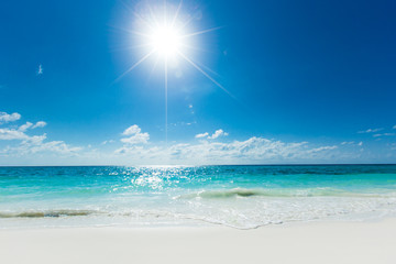 tropical Maldives island with white sandy beach and sea